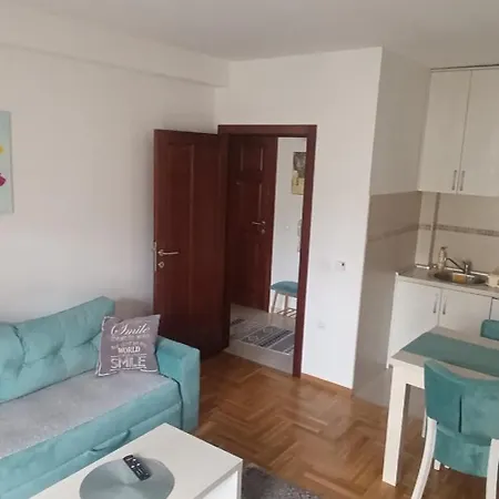 Apartamento Aleksandar *