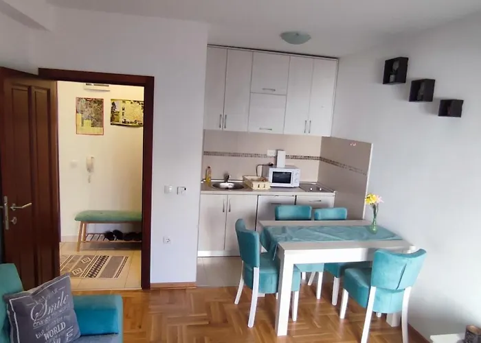 Aleksandar アパート *